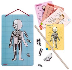 Janod - BODYMAGNET mágneses emberi test puzzle játék