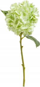 Fortens műág hortenzia zöld 49 cm Homla