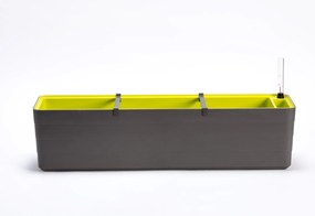 Berberis láda 80 cm szürkészöld