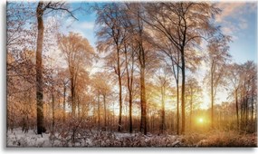 Vászonkép Fák Tél Felkelő Nap 90x60 cm Ideális ajándék