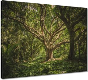 Vászonkép 50x40 Fa a parkban