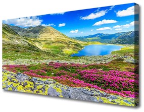 Vászonkép nyomtatás Top Bay Mező Természet 120x60 cm