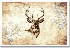 Poszterek keretben 60x40 Szarvasfej