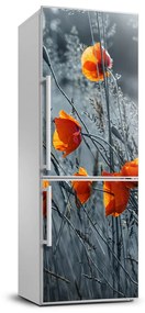 Hűtő matrica Vadvirágok pipacsok FridgeStick-70x190-f-116797987