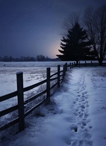 Poszter 13x18cm Csendes Téli Fény