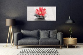 Akrilkép gerbera virág 100x50 cm