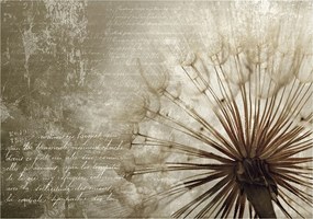 Fotótapéta Pitypang pitypang vinil finomság 416x254 +ragasztó