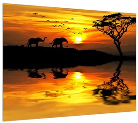Afrikai tájkép és elefánt képe (70x50 cm)