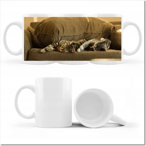 Nyomott mintás bögre Cica Cicák