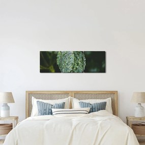 Kép - cseppek a levelen (órával) (90x30 cm)