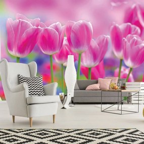Fotótapéta - Tulipán (152,5x104 cm)