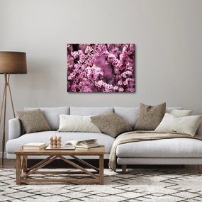 Kép - Rózsaszín sakura (70x50 cm)