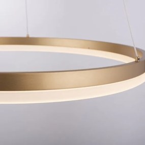 Paul Neuhaus 2382-60 - LED Dimmelhető csillár zsinóron TITUS LED/38,5W/230V