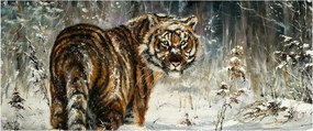 Kép - tigris a havas erdőben, olajfestmény (120x50 cm)