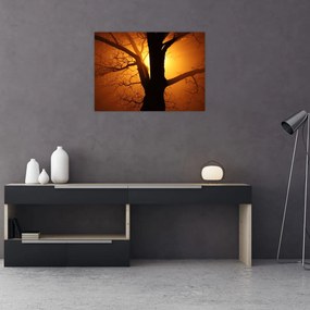 Kép egy fáról naplementekor (70x50 cm)