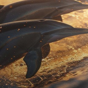 Kép - Delfinek (90x60 cm)