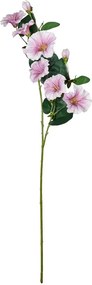 FLORISTA hajnalpír 76cm , lila/fehér