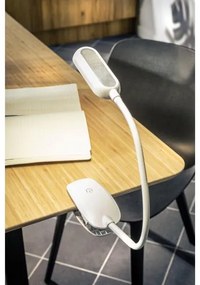 Lámpa Asztali FROGY 5W, 300lm, DC5V, 1A, 4000K, battery, 1200MAh, Ra>80, szabályozható, fehér