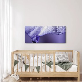 Kép - Szirom cseppekkel (120x50 cm)