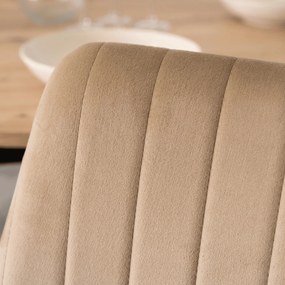 Bézs Bársony Étkezőszék. BARI