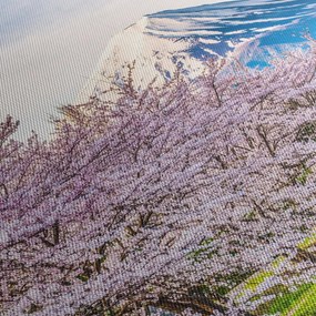 Kép - Japán tavasszal (120x50 cm)