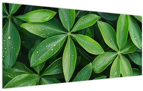 Kép - Levelek harmatcseppekkel (120x50 cm)