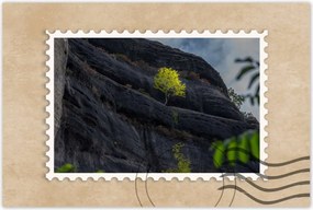 Poszterek 60x40 Fa Fák Kilátás