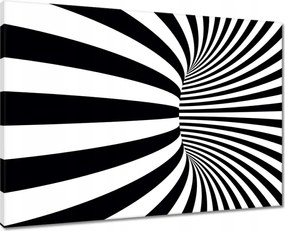 Vászonkép 70x50 Absztrakt fekete-fehér