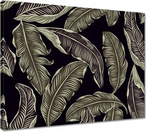 Vászonkép 50x40 Trópusi levelek Levelek