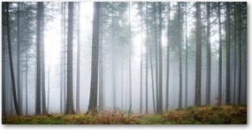 Fotó kép edzett üveg Köd az erdőben 140x70