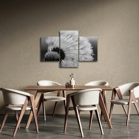 Pitypang képe - fekete fehér (90x60 cm)