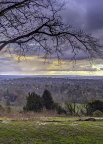 Poszter 50x70cm Reigate Hill 2, Assaf Frank