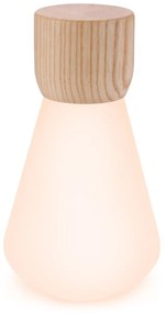 Natúr színű szabályozható asztali lámpa (magasság 13 cm) Pentagon – Gingko