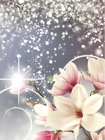 Fotótapéta Magnólia Ezüst Elegancia Virágok vinil 184x254 +ragasztó
