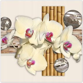 Poszterek 140x140 Virágmintás bambusz