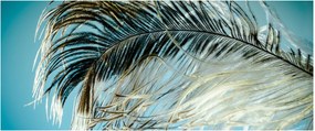Tollas kép (120x50 cm)