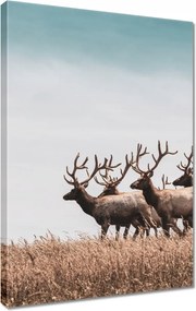Vászonkép 40x60 Szarvasok felhője