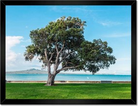 Poszterek keretben 40x30 Törhetetlen