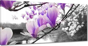 Vászonkép 120x60 Magnólia Virágok