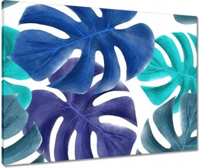 Vászonkép 80x60 Monstera Levelek Kék
