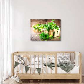 Friss menta képe (üvegen) (70x50 cm)