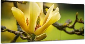 Vászonkép 180x90 Virágok