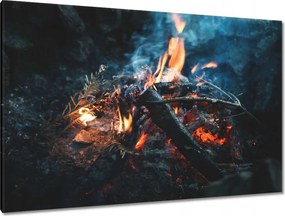 Képek 120x80 Tűz az éjszakában az erdőben