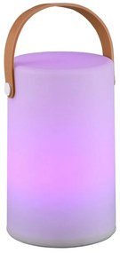 Napelemes LED kültéri lámpa távirányítóval (magasság 21 cm) Aruba – Trio