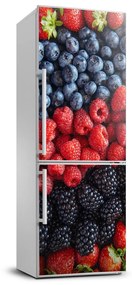 Dekor matrica hűtőre Erdei gyümölcsök FridgeStick-70x190-f-88601992