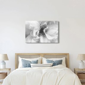 Kép - Virág, fekete-fehér (90x60 cm)