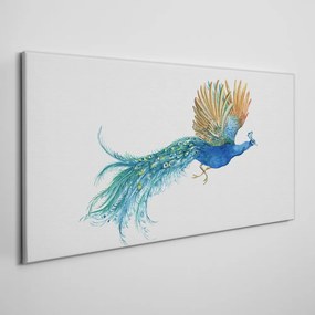 Vászonkép állati madár páva