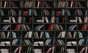 Flizelin fotótapéta Könyvek a falon Klasszikusok 460x300 +ragasztó