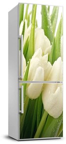 Matrica hűtőre Fehér tulipán FridgeStick-70x190-f-49549577