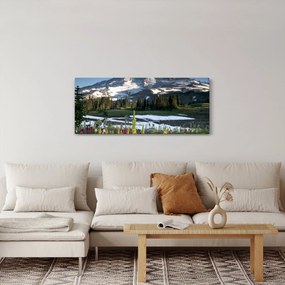 Kép - Mount Rainier (120x50 cm)